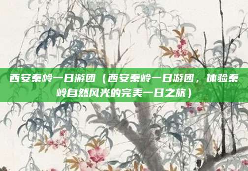 西安秦岭一日游团(西安秦岭一日游团,体验秦岭自然风光的完美一日之旅)