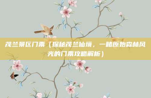 茂兰景区门票（探秘茂兰仙境，一睹原始森林风光的门票攻略解析）