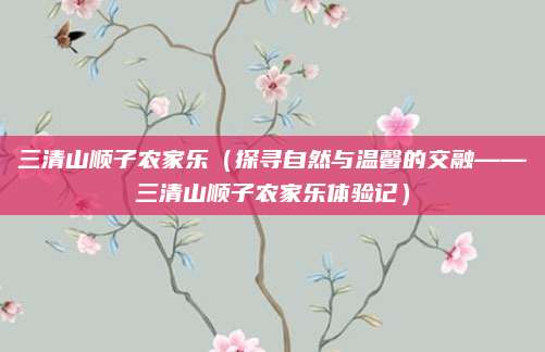 三清山顺子农家乐（探寻自然与温馨的交融——三清山顺子农家乐体验记）