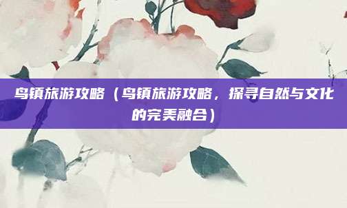 鸟镇旅游攻略(鸟镇旅游攻略,探寻自然与文化的完美融合)