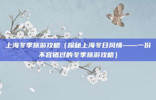 上海冬季旅游攻略（探秘上海冬日风情——一份不容错过的冬季旅游攻略）