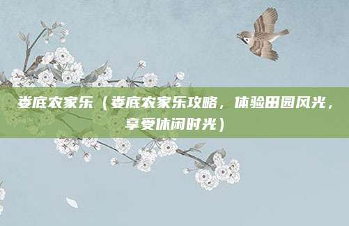 娄底农家乐(娄底农家乐攻略,体验田园风光,享受休闲时光)