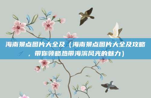 海南景点图片大全及(海南景点图片大全及攻略,带你领略热带海滨风光的魅力)