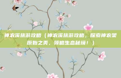 神农溪旅游攻略(神农溪旅游攻略,探索神农架原始之美,领略生态秘境!)
