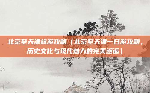 北京至天津旅游攻略（北京至天津一日游攻略，历史文化与现代魅力的完美邂逅）