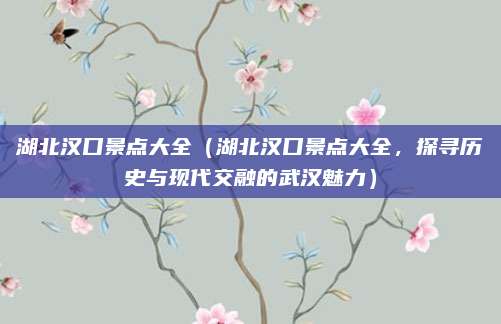 湖北汉口景点大全(湖北汉口景点大全,探寻历史与现代交融的武汉魅力)