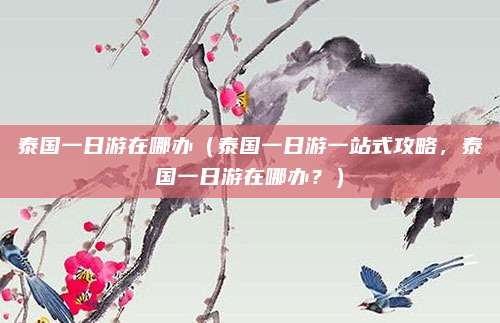 泰国一日游在哪办(泰国一日游一站式攻略,泰国一日游在哪办?)