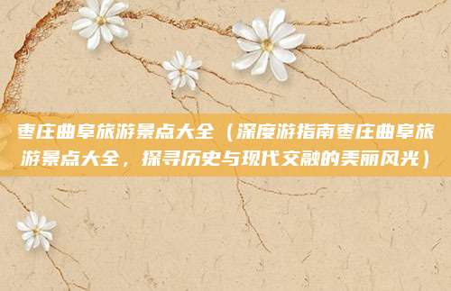 枣庄曲阜旅游景点大全（深度游指南枣庄曲阜旅游景点大全，探寻历史与现代交融的美丽风光）