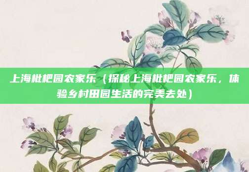 上海枇杷园农家乐（探秘上海枇杷园农家乐，体验乡村田园生活的完美去处）