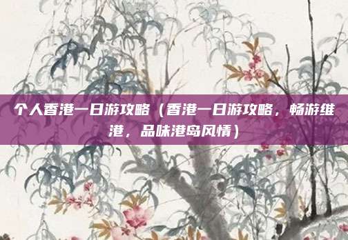 个人香港一日游攻略（香港一日游攻略，畅游维港，品味港岛风情）