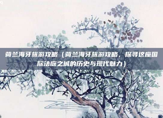 荷兰海牙旅游攻略(荷兰海牙旅游攻略,探寻这座国际法庭之城的历史与现代魅力)