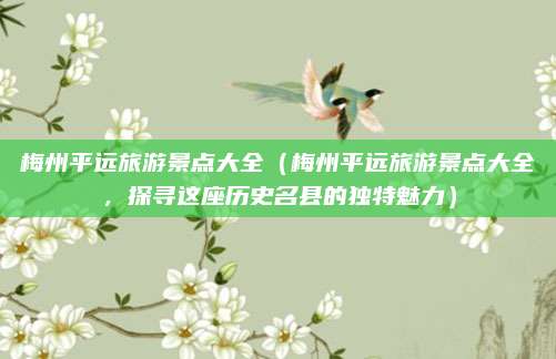 梅州平远旅游景点大全（梅州平远旅游景点大全，探寻这座历史名县的独特魅力）