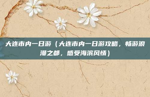 大连市内一日游（大连市内一日游攻略，畅游浪漫之都，感受海滨风情）
