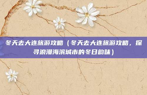 冬天去大连旅游攻略(冬天去大连旅游攻略,探寻浪漫海滨城市的冬日韵味)