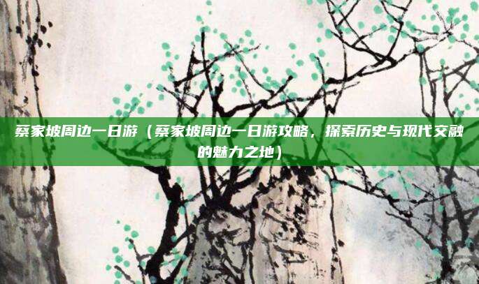 蔡家坡周边一日游（蔡家坡周边一日游攻略，探索历史与现代交融的魅力之地）