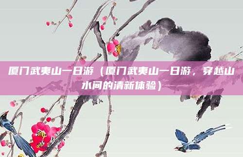 厦门武夷山一日游（厦门武夷山一日游，穿越山水间的清新体验）