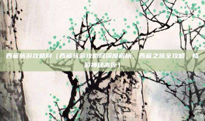 西藏旅游攻略网(西藏旅游攻略网深度解析,西藏之旅全攻略,畅游神秘高原)