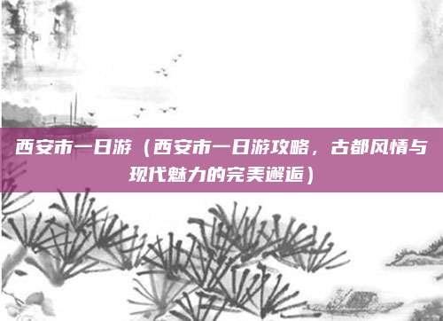 西安市一日游(西安市一日游攻略,古都风情与现代魅力的完美邂逅)