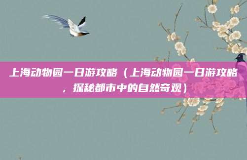 上海动物园一日游攻略(上海动物园一日游攻略,探秘都市中的自然奇观)