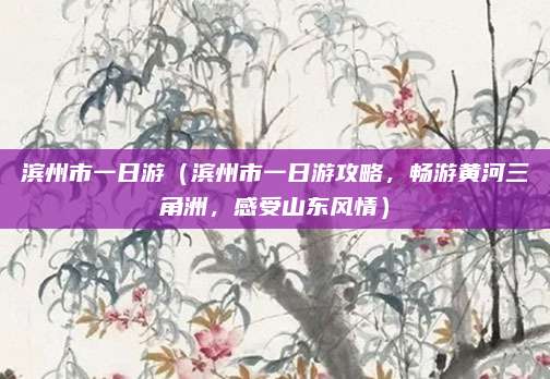 滨州市一日游(滨州市一日游攻略,畅游黄河三角洲,感受山东风情)