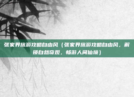 张家界旅游攻略自由风（张家界旅游攻略自由风，解锁自然奇观，畅游人间仙境）