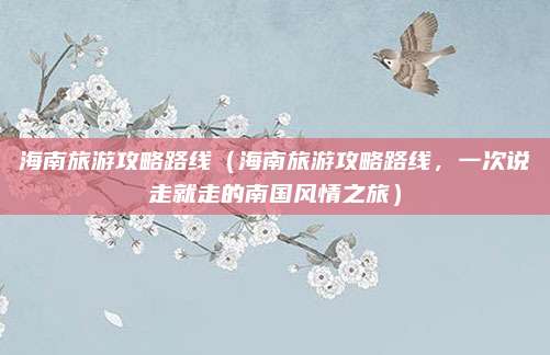 海南旅游攻略路线(海南旅游攻略路线,一次说走就走的南国风情之旅)