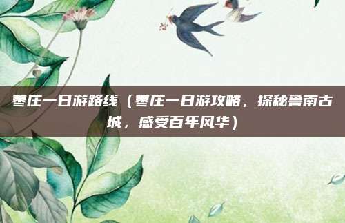 枣庄一日游路线(枣庄一日游攻略,探秘鲁南古城,感受百年风华)