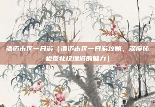 清迈市区一日游(清迈市区一日游攻略,深度体验泰北玫瑰城的魅力)