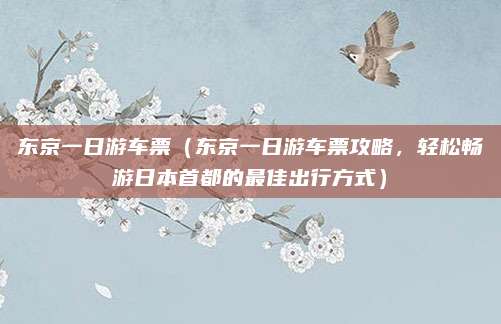 东京一日游车票(东京一日游车票攻略,轻松畅游日本首都的最佳出行方式)