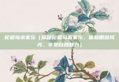 砣矶岛农家乐(探秘砣矶岛农家乐,体验田园风光,享受自然魅力)
