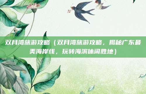 双月湾旅游攻略（双月湾旅游攻略，揭秘广东最美海岸线，玩转海滨休闲胜地）