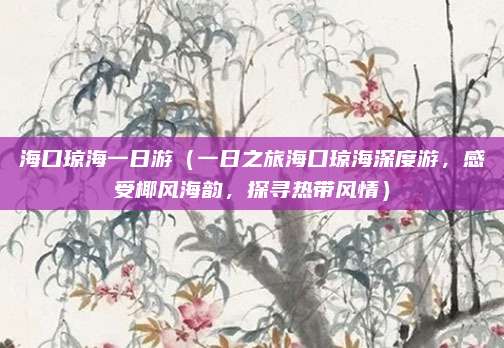 海口琼海一日游(一日之旅海口琼海深度游,感受椰风海韵,探寻热带风情)