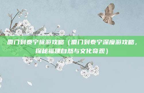 厦门到泰宁旅游攻略（厦门到泰宁深度游攻略，探秘福建自然与文化奇观）