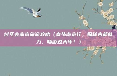过年去南京旅游攻略(春节南京行,探秘古都魅力,畅游过大年!)
