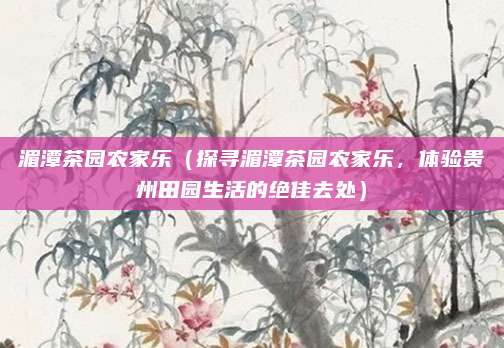 湄潭茶园农家乐（探寻湄潭茶园农家乐，体验贵州田园生活的绝佳去处）