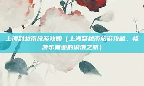 上海到越南旅游攻略(上海至越南旅游攻略,畅游东南亚的浪漫之旅)
