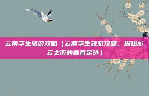 云南学生旅游攻略(云南学生旅游攻略,探秘彩云之南的青春足迹)