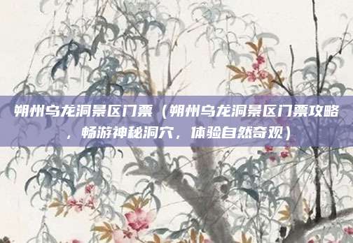朔州乌龙洞景区门票(朔州乌龙洞景区门票攻略,畅游神秘洞穴,体验自然奇观)