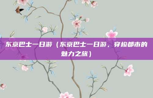 东京巴士一日游(东京巴士一日游,穿梭都市的魅力之旅)