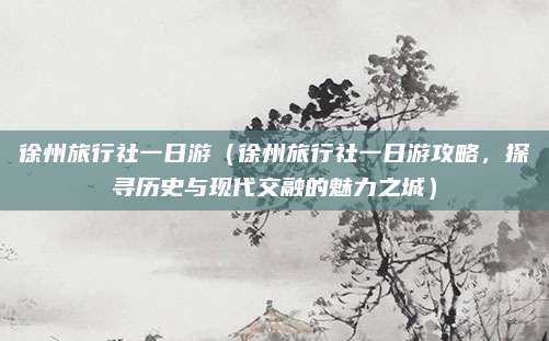 徐州旅行社一日游（徐州旅行社一日游攻略，探寻历史与现代交融的魅力之城）