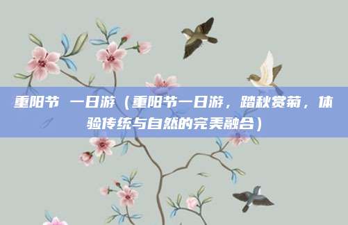重阳节 一日游(重阳节一日游,踏秋赏菊,体验传统与自然的完美融合)