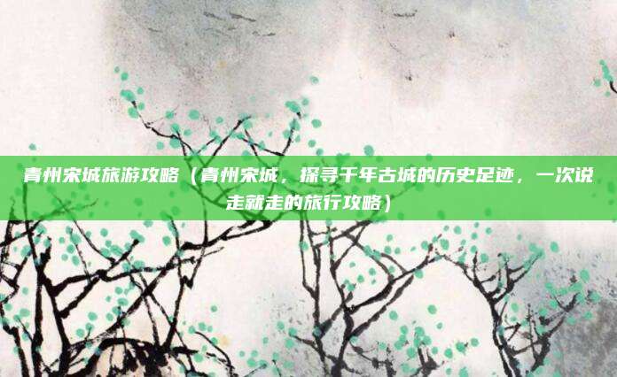 青州宋城旅游攻略(青州宋城,探寻千年古城的历史足迹,一次说走就走的旅行攻略)