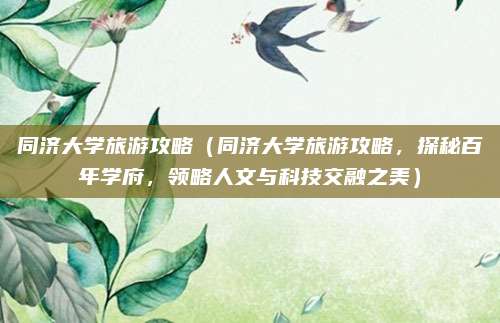 同济大学旅游攻略(同济大学旅游攻略,探秘百年学府,领略人文与科技交融之美)