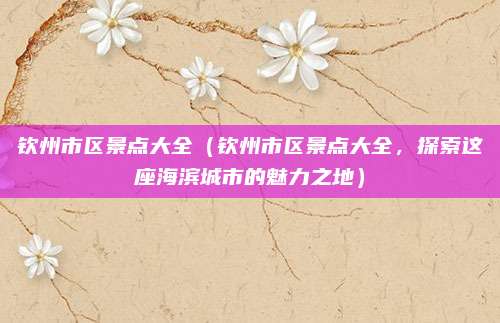 钦州市区景点大全(钦州市区景点大全,探索这座海滨城市的魅力之地)