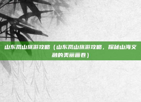 山东岚山旅游攻略（山东岚山旅游攻略，探秘山海交融的美丽画卷）