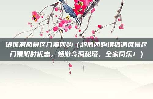 银狐洞风景区门票团购(超值团购银狐洞风景区门票限时优惠,畅游奇洞秘境,全家同乐!)