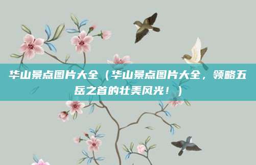 华山景点图片大全(华山景点图片大全,领略五岳之首的壮美风光!)