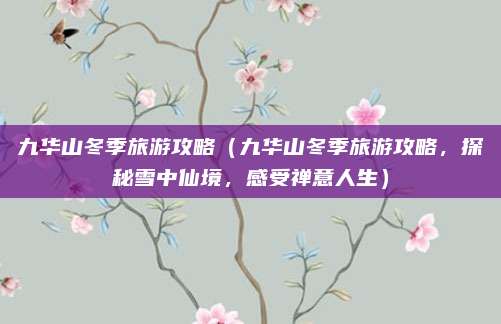 九华山冬季旅游攻略(九华山冬季旅游攻略,探秘雪中仙境,感受禅意人生)