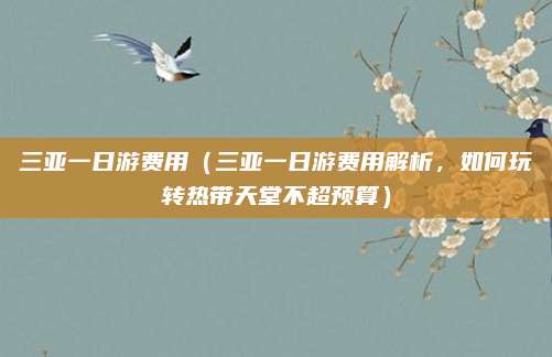 三亚一日游费用（三亚一日游费用解析，如何玩转热带天堂不超预算）