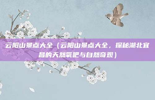 云阳山景点大全(云阳山景点大全,探秘湖北宜昌的天然氧吧与自然奇观)